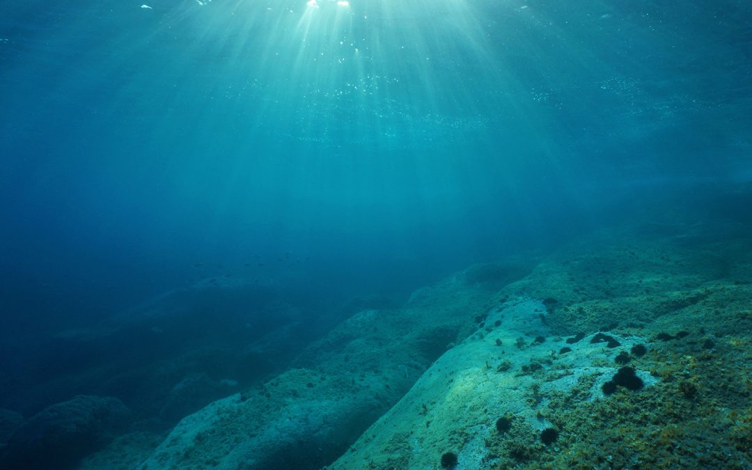 The Nippon Foundation-GEBCO Seabed 2030 Project announces new collaboration with Scripps Institution of Oceanography